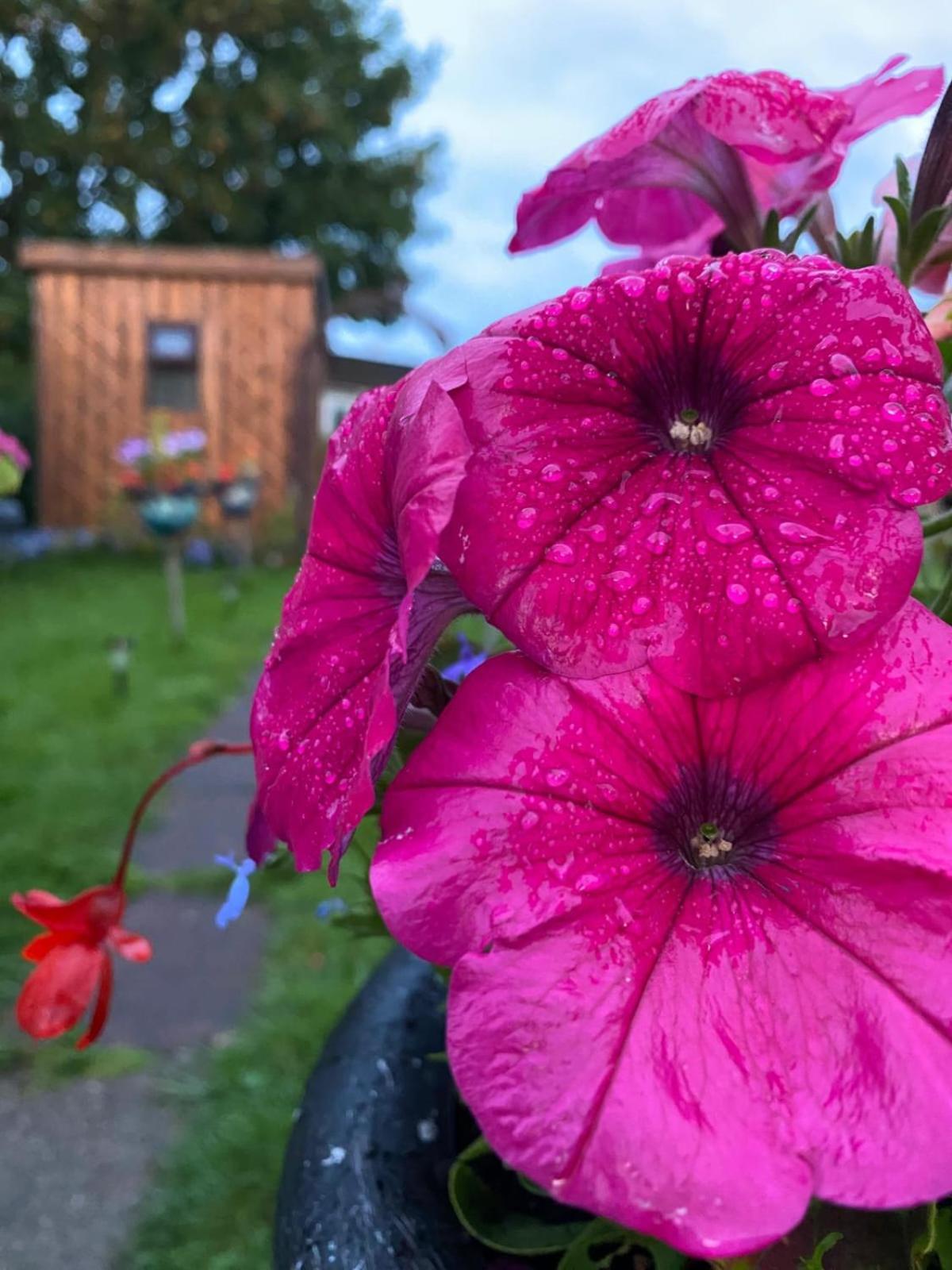 Birds And The Bees Summer House Endon المظهر الخارجي الصورة